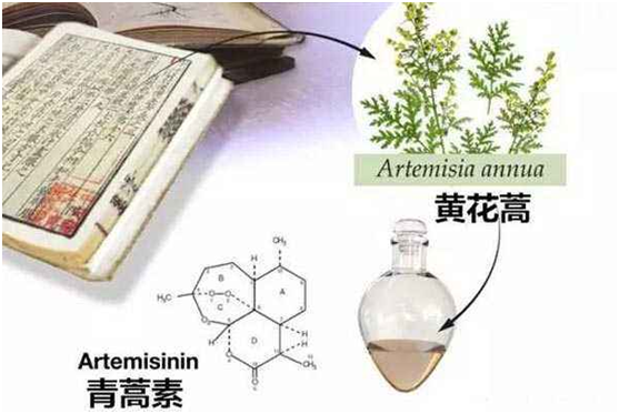 乐鱼官网,乐鱼（中国）：向中医药看齐，与世界共享中医药文化(图1)